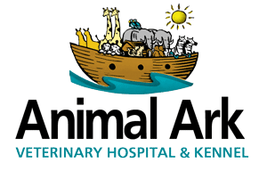 Animal Ark Veterinary Hospital